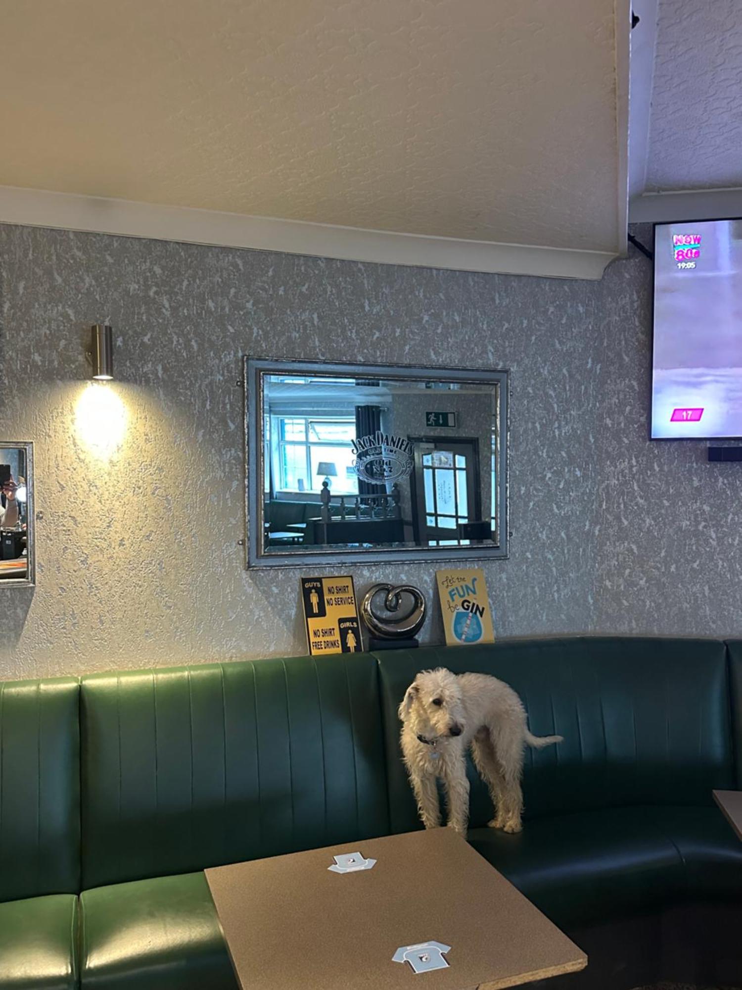 The Angel Inn Troed-y-rhiw Bagian luar foto